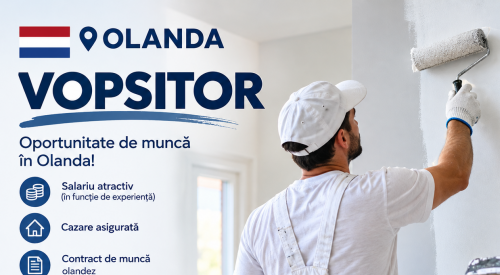 Vopsitor